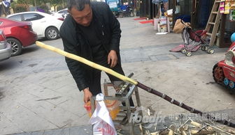 廣西糖廠食安事件折射產(chǎn)業(yè)短板 甘蔗清洗與空氣凈化設(shè)備研發(fā)亟待加強(qiáng)